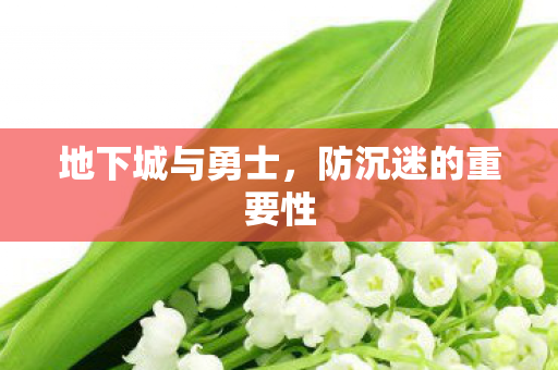 地下城与勇士，防沉迷的重要性