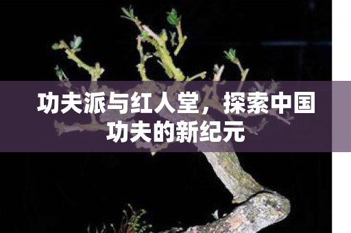 功夫派与红人堂，探索中国功夫的新纪元