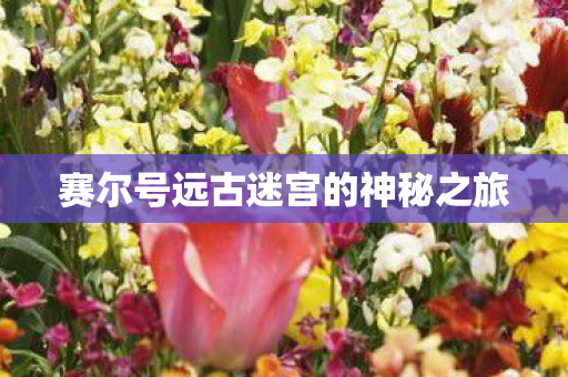 赛尔号远古迷宫的神秘之旅 赛尔号远古迷宫的神秘之旅