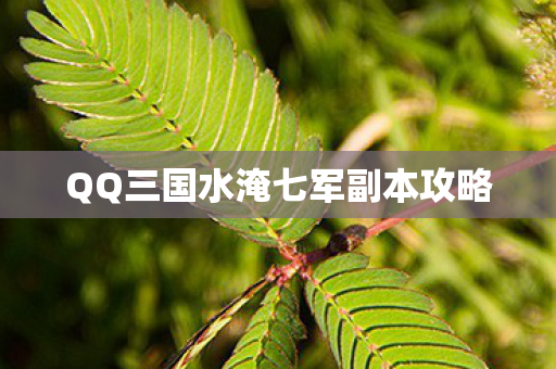 QQ三国水淹七军副本攻略