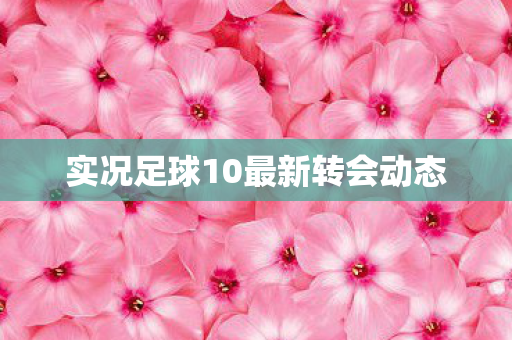 实况足球10最新转会动态