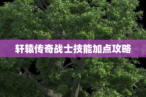 轩辕传奇战士技能加点攻略