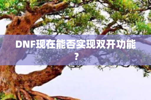 DNF现在能否实现双开功能？