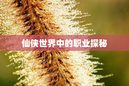 仙侠世界中的职业探秘