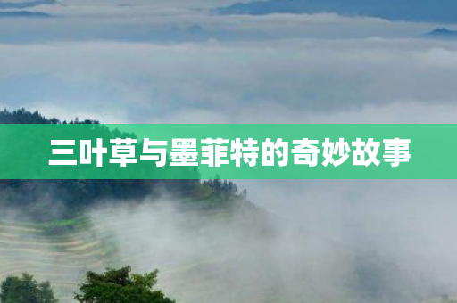 三叶草与墨菲特的奇妙故事