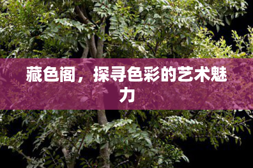 藏色阁，探寻色彩的艺术魅力