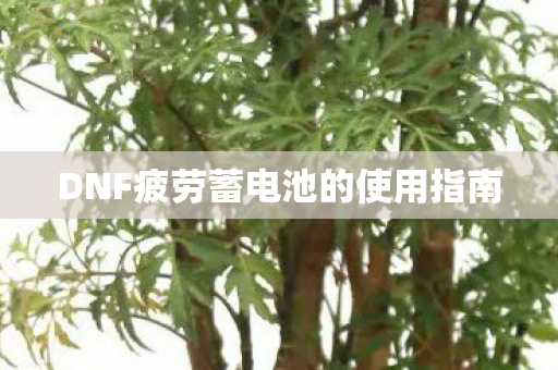 DNF疲劳蓄电池的使用指南 DNF疲劳蓄电池的使用指南