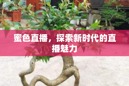 蜜色直播，探索新时代的直播魅力