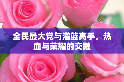 全民最大党与灌篮高手,热血与荣耀的交融 全民最大党与灌篮高手,热血与荣耀的交融