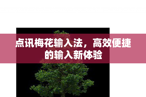点讯梅花输入法，高效便捷的输入新体验