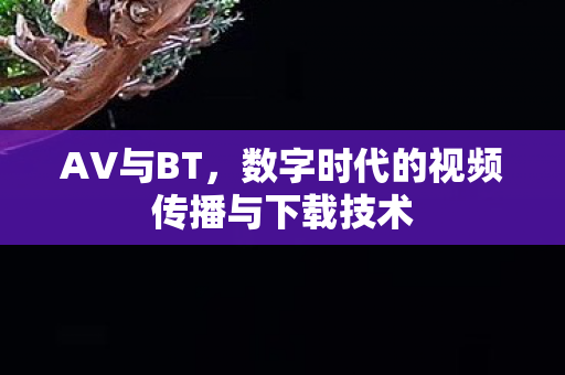 AV与BT,数字时代的视频传播与下载技术 AV与BT,数字时代的视频传播与下载技术