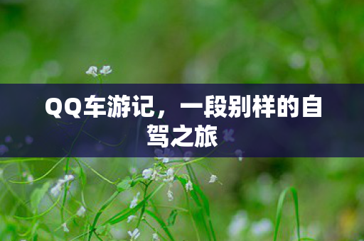QQ车游记,一段别样的自驾之旅 QQ车游记,一段别样的自驾之旅