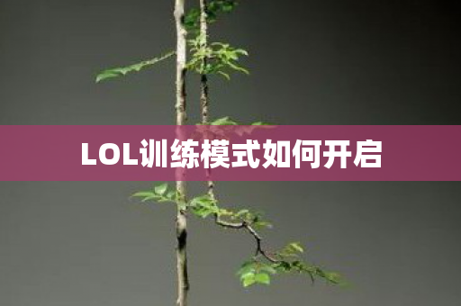 LOL训练模式如何开启