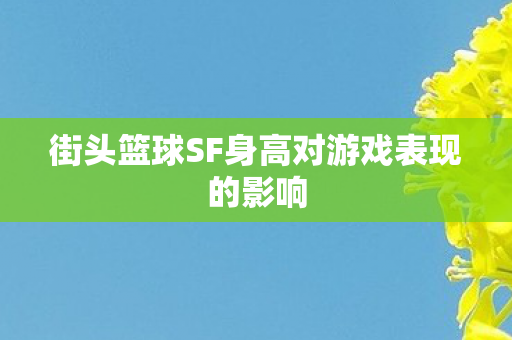 街头篮球SF身高对游戏表现的影响