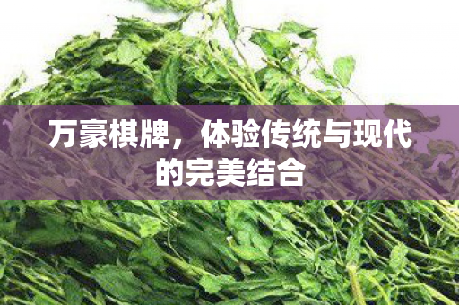 万豪棋牌，体验传统与现代的完美结合