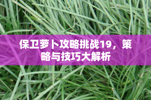 保卫萝卜攻略挑战19，策略与技巧大解析