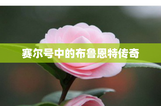 赛尔号中的布鲁恩特传奇