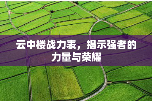 云中楼战力表，揭示强者的力量与荣耀