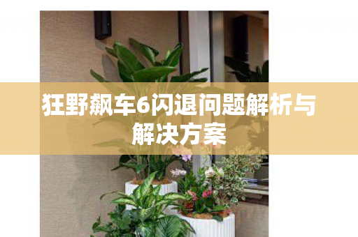 狂野飙车6闪退问题解析与解决方案