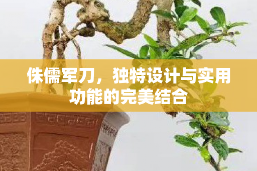 侏儒军刀，独特设计与实用功能的完美结合