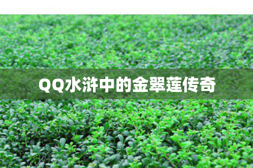 QQ水浒中的金翠莲传奇