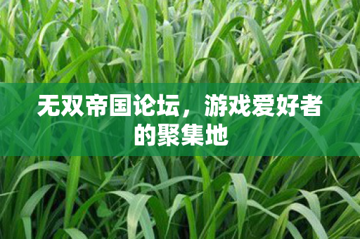 无双帝国论坛,游戏爱好者的聚集地 无双帝国论坛,游戏爱好者的聚集地