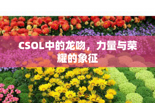 CSOL中的龙吻,力量与荣耀的象征 CSOL中的龙吻,力量与荣耀的象征