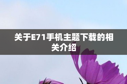 关于E71手机主题下载的相关介绍 关于E71手机主题下载的相关介绍