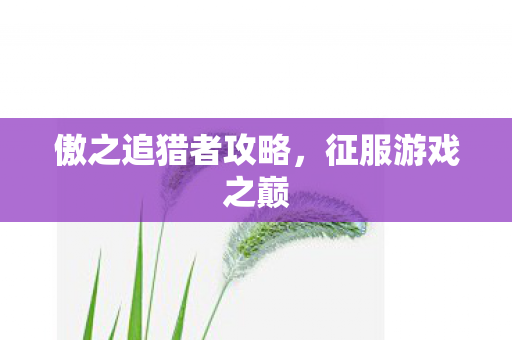 傲之追猎者攻略，征服游戏之巅