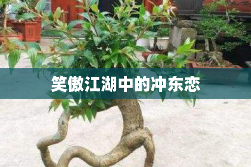 笑傲江湖中的冲东恋