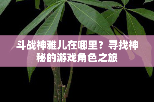斗战神雅儿在哪里？寻找神秘的游戏角色之旅