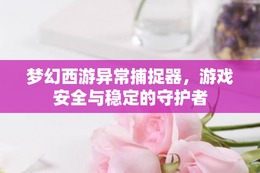 梦幻西游异常捕捉器,游戏安全与稳定的守护者 梦幻西游异常捕捉器,游戏安全与稳定的守护者