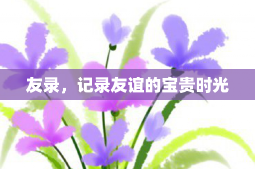 友录，记录友谊的宝贵时光