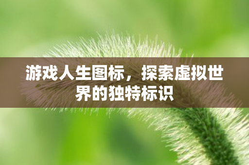 游戏人生图标,探索虚拟世界的独特标识 游戏人生图标,探索虚拟世界的独特标识