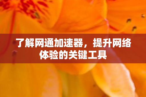 了解网通加速器,提升网络体验的关键工具 了解网通加速器,提升网络体验的关键工具