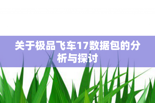 关于极品飞车17数据包的分析与探讨
