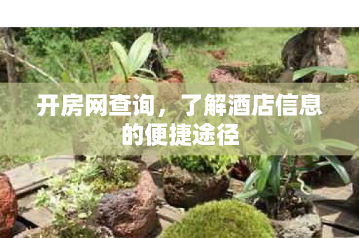 开房网查询，了解酒店信息的便捷途径