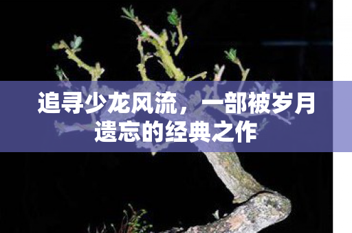 追寻少龙风流，一部被岁月遗忘的经典之作