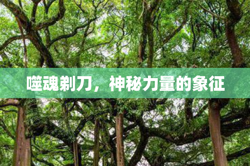 噬魂剃刀，神秘力量的象征