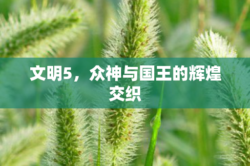 文明5,众神与国王的辉煌交织 文明5,众神与国王的辉煌交织