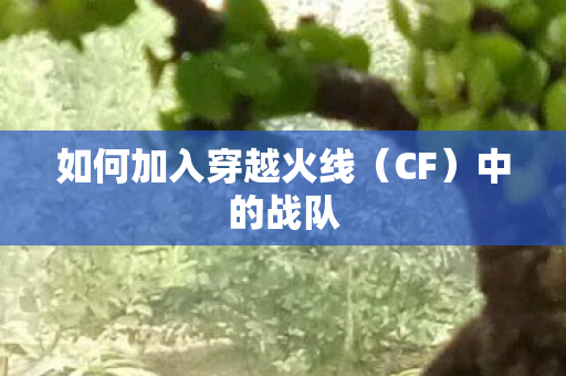 如何加入穿越火线（CF）中的战队