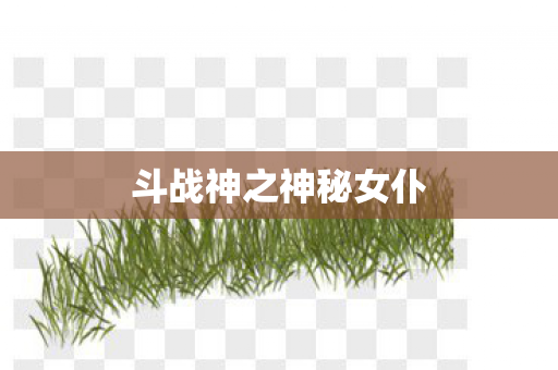 斗战神之神秘女仆
