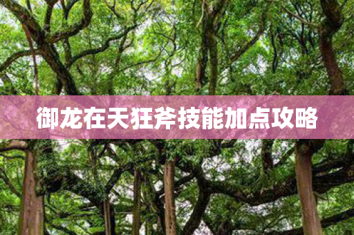 御龙在天狂斧技能加点攻略 御龙在天狂斧技能加点攻略