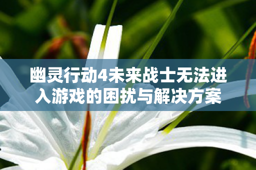 幽灵行动4未来战士无法进入游戏的困扰与解决方案