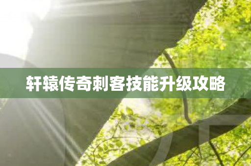 轩辕传奇刺客技能升级攻略