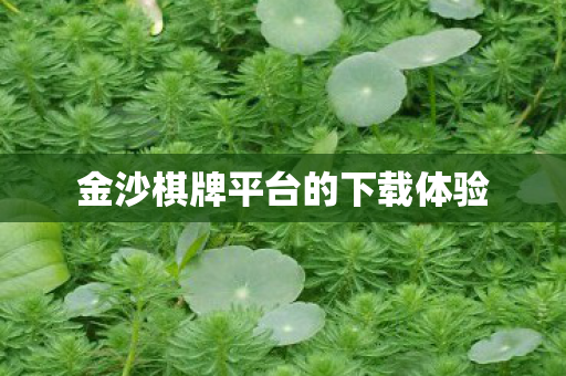 金沙棋牌平台的下载体验