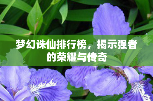 梦幻诛仙排行榜,揭示强者的荣耀与传奇 梦幻诛仙排行榜,揭示强者的荣耀与传奇