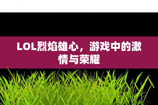 LOL烈焰雄心，游戏中的激情与荣耀