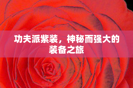 功夫派紫装，神秘而强大的装备之旅