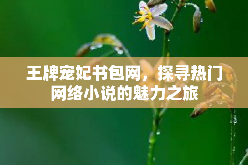 王牌宠妃书包网，探寻热门网络小说的魅力之旅